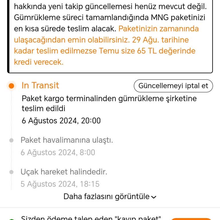 MNG Kargo Temu Siparişlerini Gümrükte Bekletiyor