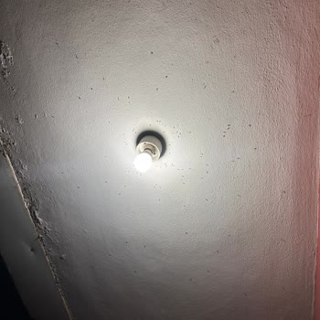 İstanbul'da Bitmeyen Sivrisinek Sorunu Ve İBB'nin İlgisizliği