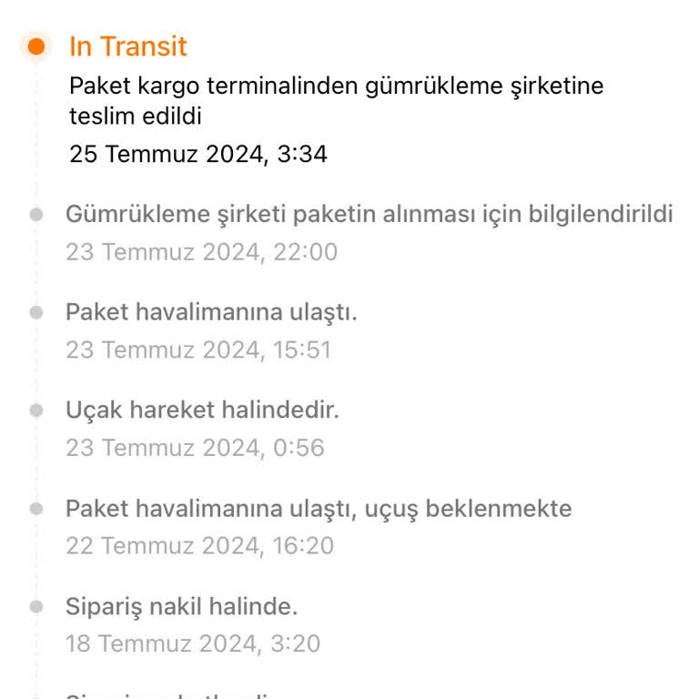 Temu İn Transit Gümrük Sorunu