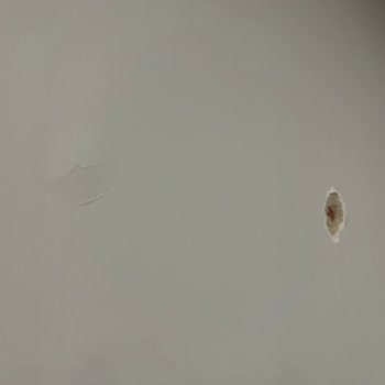 Alfemo Antalya - Aspendos Şubesi Pişmanlıktır.