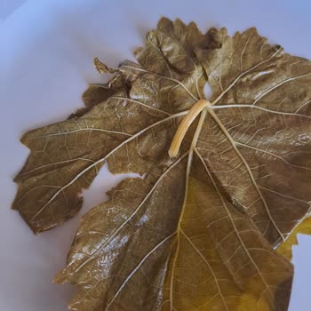Fatmanın Bahçesi'nden Gelen Kalitesiz Yapraklar