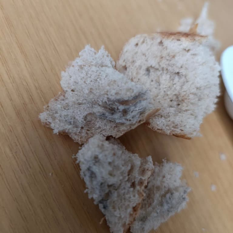 Van Bölge Eğitim Ve Araştırma Hastanesi Küflü Ekmek