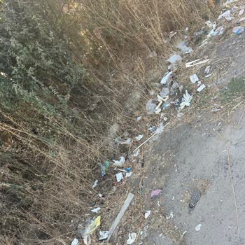 Ergene Belediyesi Ergene Velimeşe Çöp Sorunu