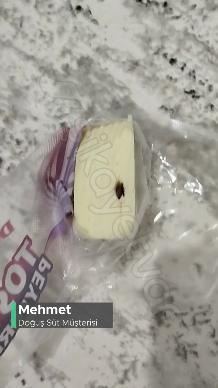 Doğuş Kaşar İçinde Antep Fıstığı videonun kapak resmi