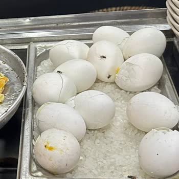 Eki aç