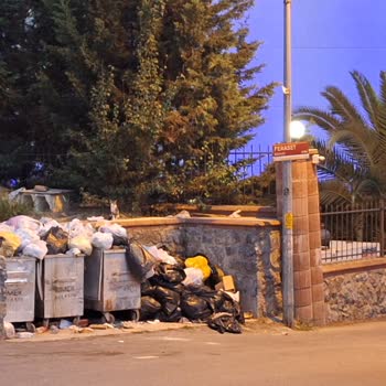 Kartal Belediyesi Temizlik Hizmetleri Çöp Toplanması