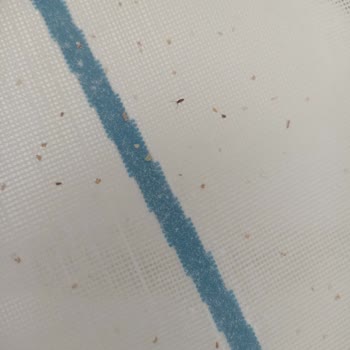 BİM Efsane 5 Kilo Un