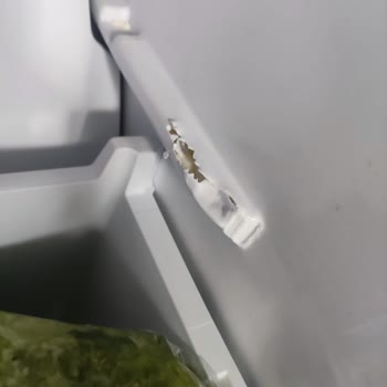 Altus Arçelik Buzdolabında Garanti Kapsamında Tamirat Sorunu