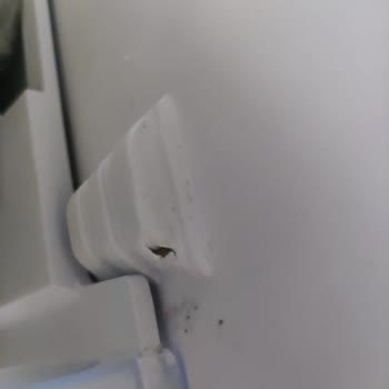 Altus Arçelik Buzdolabında Garanti Kapsamında Tamirat Sorunu