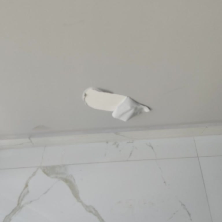 Polisan Silikonlu Boya Kalkma Sorunu