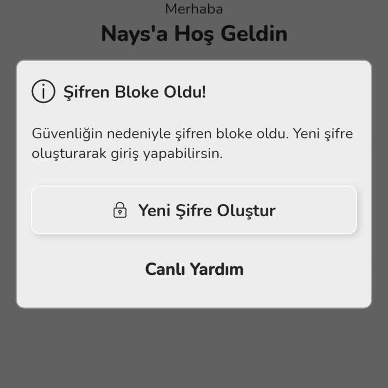 Nays Hesabıma Giriş Yapamıyorum.