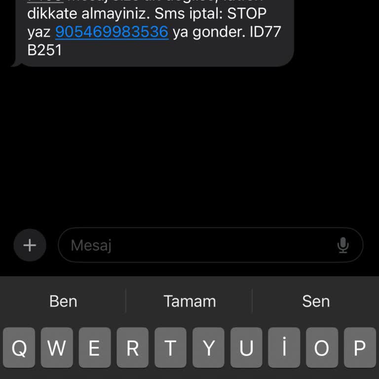 Verify İnfo Verity Doğrulama Kodu