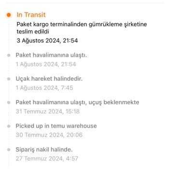 Temu MNG Kargo Gümrük Bekletme Süreci