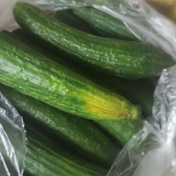 Şok Marketler Çürük Ürünlerin Gönderilmesi