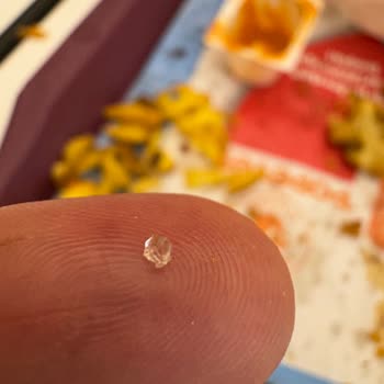 Popeyes Cam Parçası Çıktı