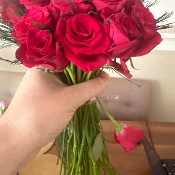 Çiçek Sepeti Görsel İle Alakasız Çiçekler Gönderilmesi