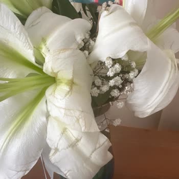 Çiçek Sepeti Görsel İle Alakasız Çiçekler Gönderilmesi