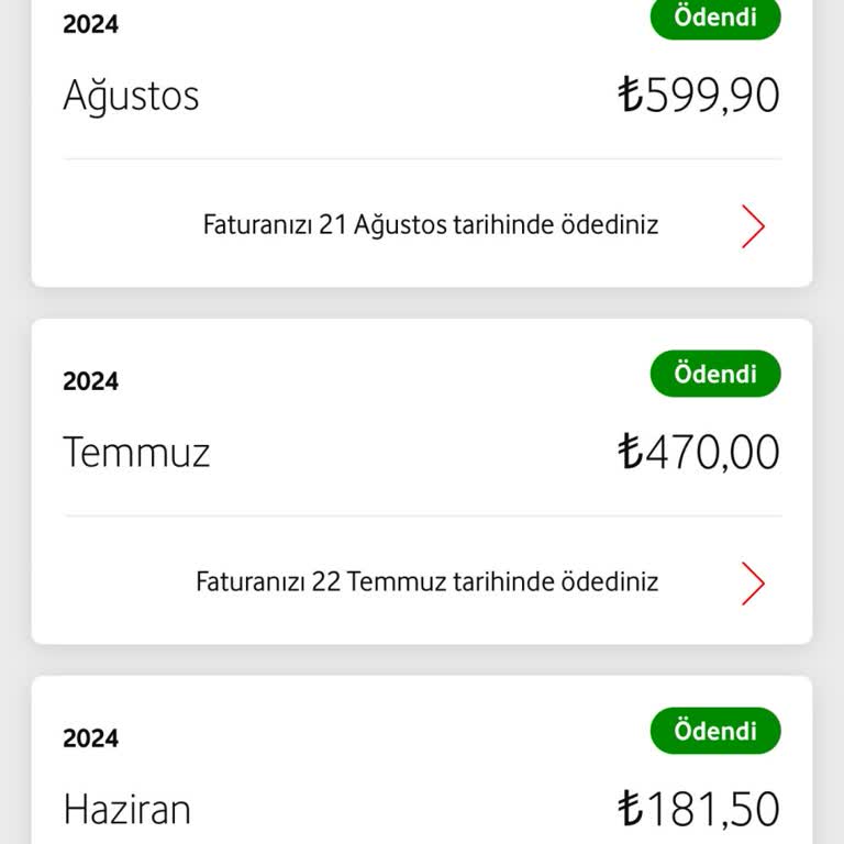 Yanlış Ek Paket Alımı ve Fahiş Fatura Sorunu