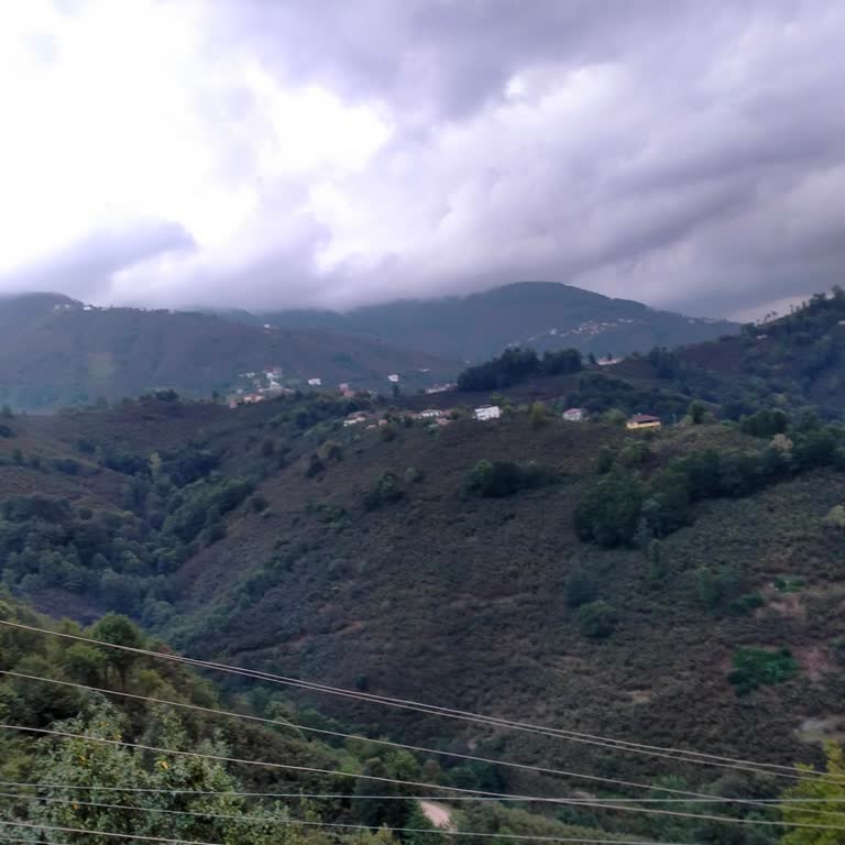 ING Emekli Maaş Hesabındaki Bloke Sorunu