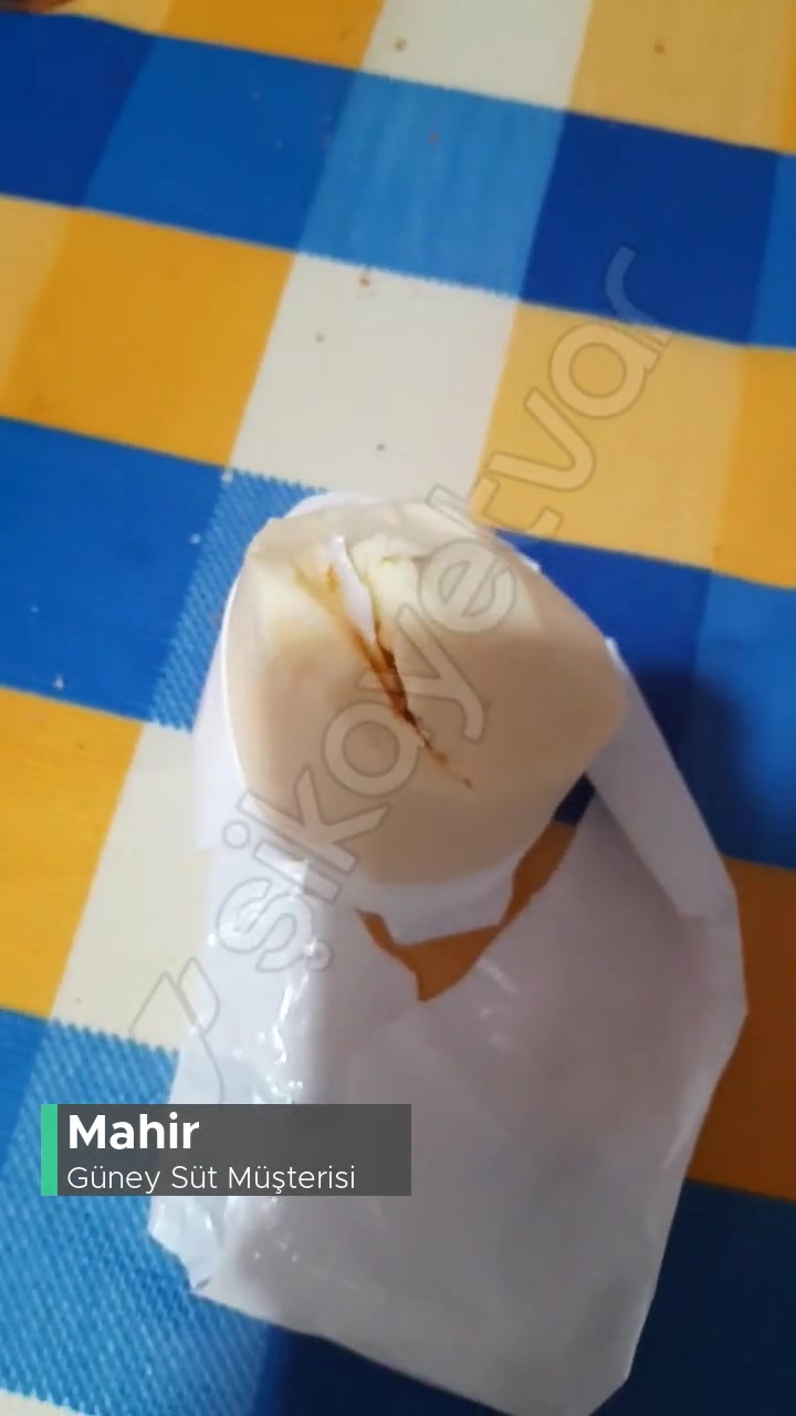 Güney Süt Güney Eritme Peynirinden Plastik Çıktı! videonun kapak resmi
