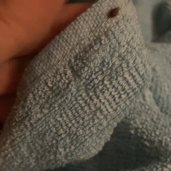 Midyat Seyyidoğlu Turizm Böcekli Seyidoğlu Seferi