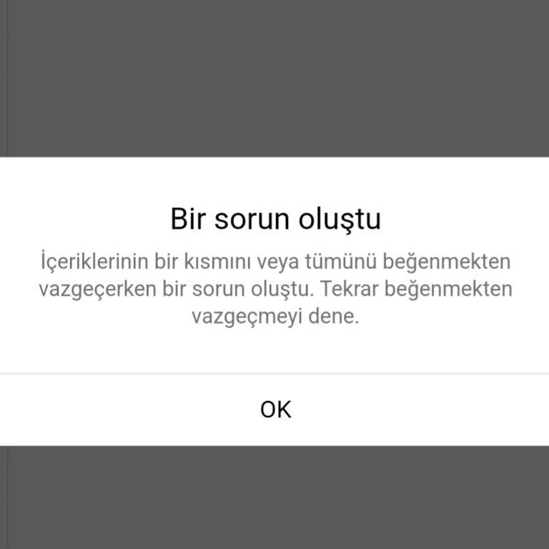 Instagram Basit Şeylere Bile Durduk Yere Hata Çıkartıyor!