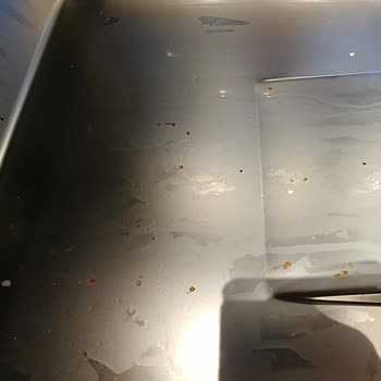 Vestel Bulaşık Makinesinde 2 Ayda Paslanmalar Başladı.