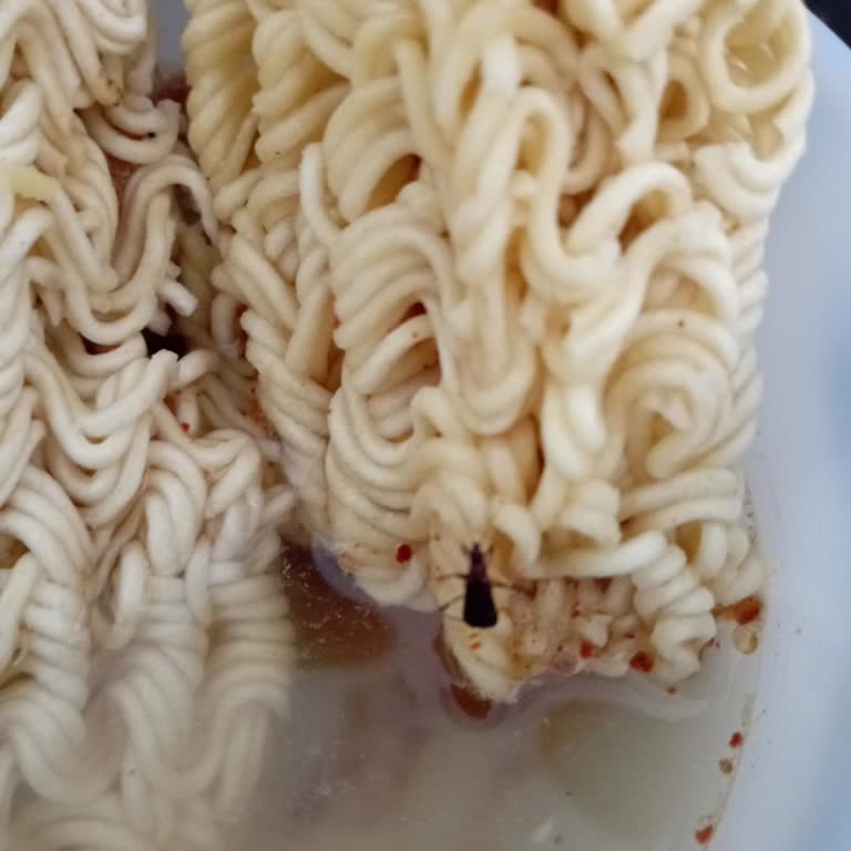 İndomie Hazır Noodledan Böcek!