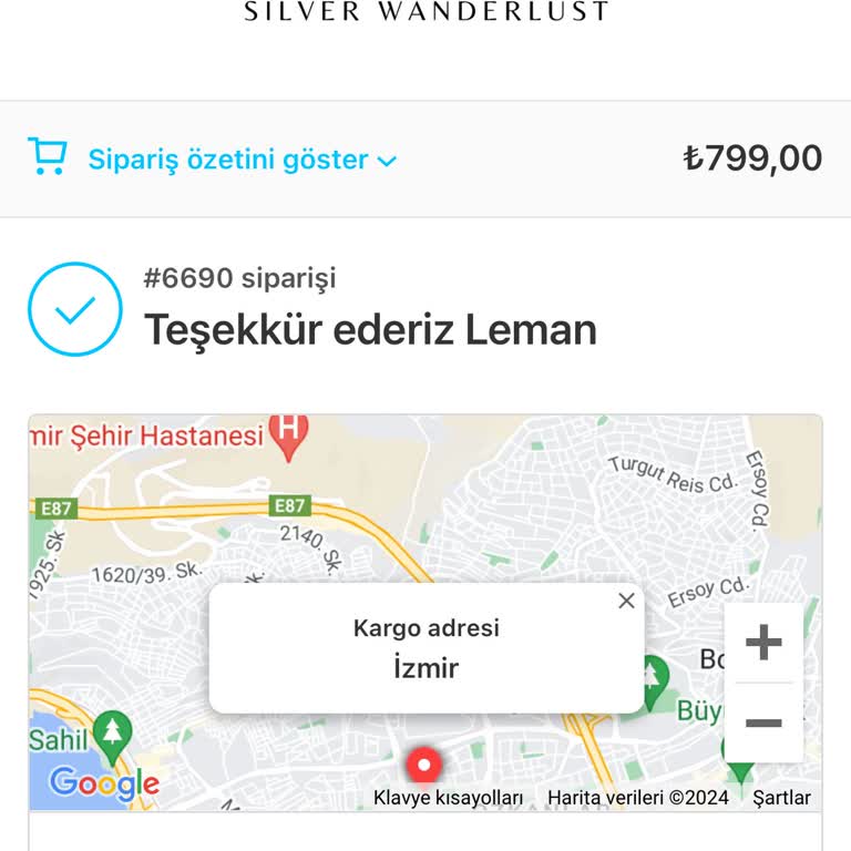Silver Wanderlust Siparişimden Bilgi Alamıyorum.
