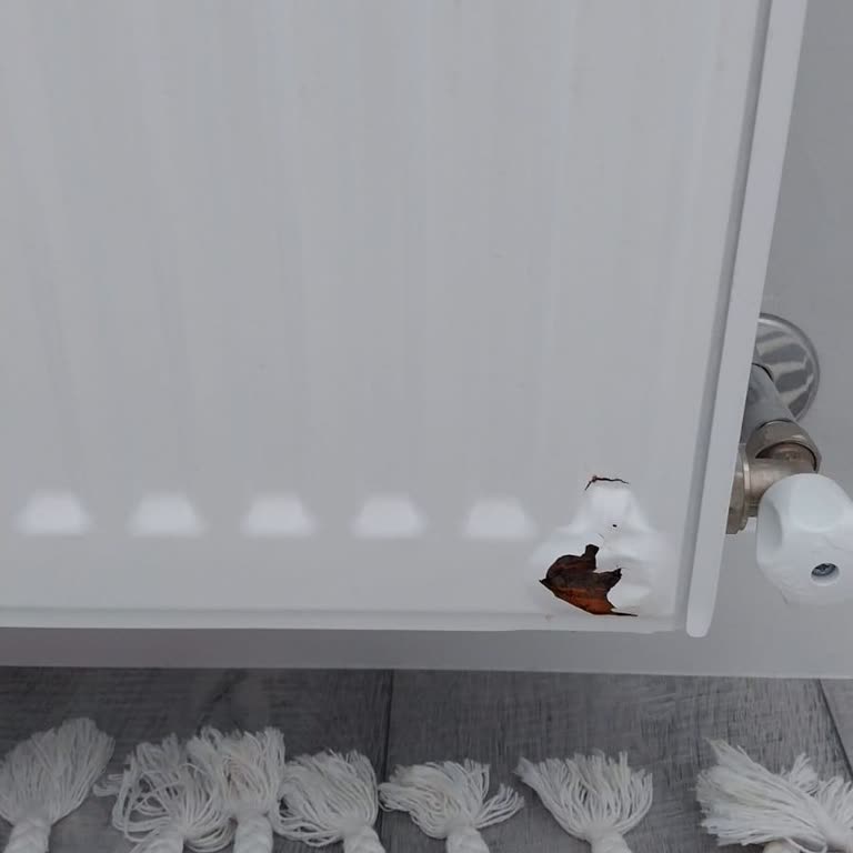 Warmhaus Daha 5 Aylık Radyatör Ün Hali Ve Servisin İlgilenmemesi