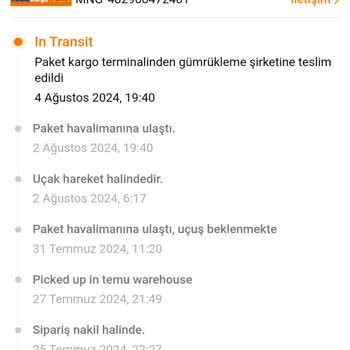 Temu Siparişlerim Bir Aydır Gümrükte