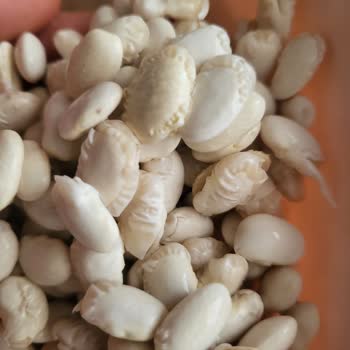 BİM Saban Kuru Fasulye