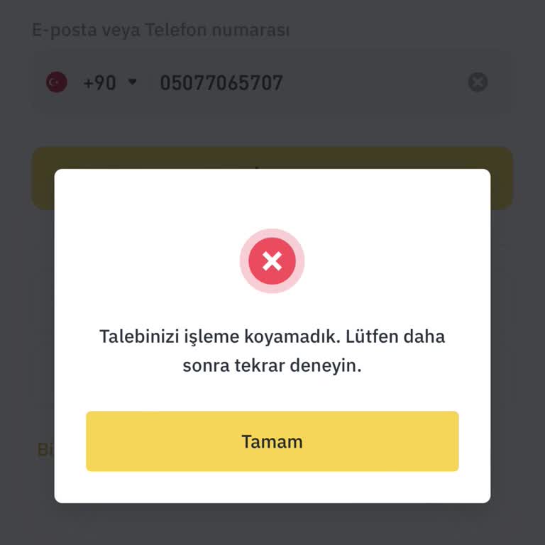 Binance Talebinizi İşleme Koyamadık