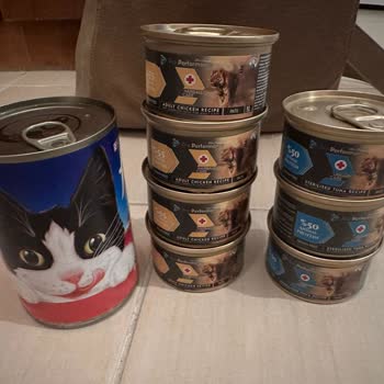 Trendyol GO'dan Gelen Tarihi Geçmiş Ürünler