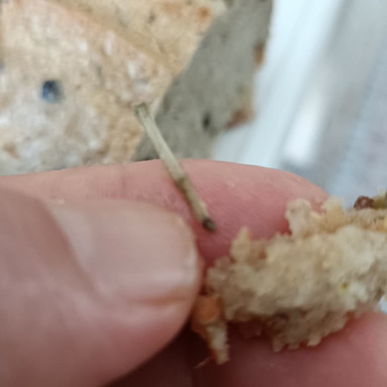 File Market Zeytinli Tam Buğday Ekmeyi