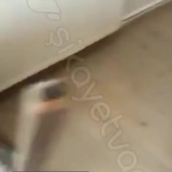Kelebek Mobilya Tam Anlamıyla Problem!