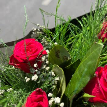 Osevio.com Teslim Edilen Ürün Sitedekinden Çok Farklı