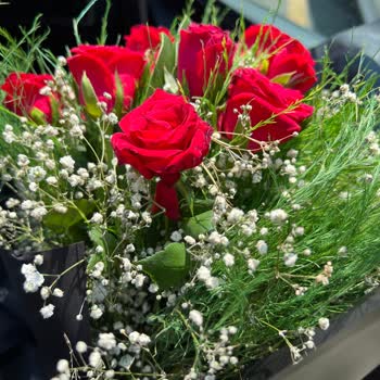 Osevio.com Teslim Edilen Ürün Sitedekinden Çok Farklı