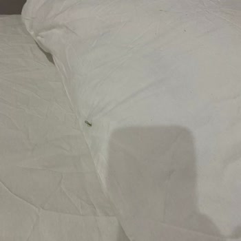 Beachway Hotel Otel Temizliği Ve Hizmet Kalitesi Hakkında Şikayet