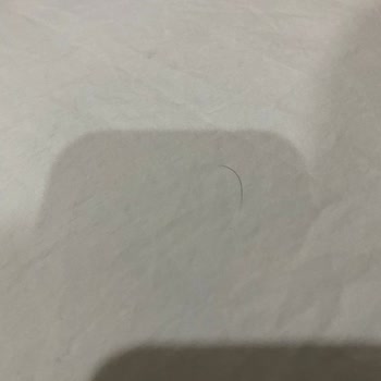 Beachway Hotel Otel Temizliği Ve Hizmet Kalitesi Hakkında Şikayet