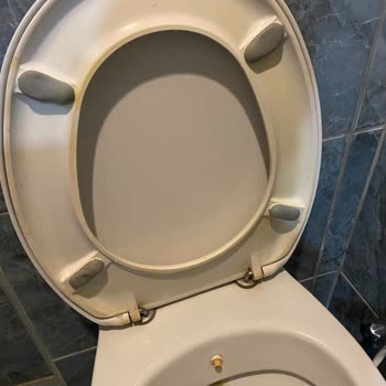 Beachway Hotel Otel Temizliği Ve Hizmet Kalitesi Hakkında Şikayet