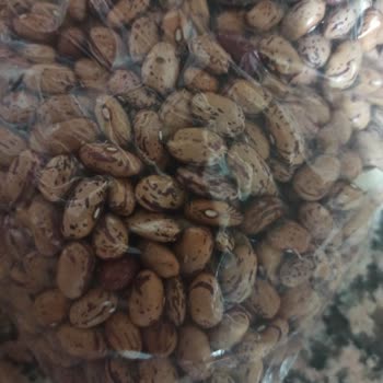 Halktan Kuruyemiş Maalesef Böcekli Barbunya