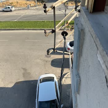 Kahramanmaraş Akedaş Elektrik Dağıtım Arıza