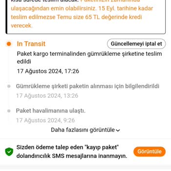 Temu Siparişim Gümrükte Takılı Kaldı