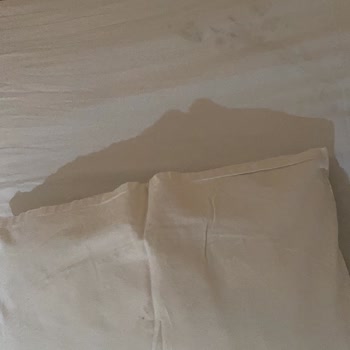 Kültür ve Turizm Bakanlığı Otel Hijyen Sorunları Ve Müşteri Şikayetleri