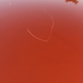 Gürses Oto (İstanbul)  Servisinde Çizik Sorunu Ve Değer Kaybı