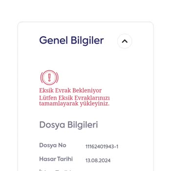 Ray Sigorta Kesin Rapor Beklenmesi