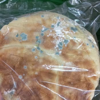 BİM İnsan Sağlığına Dikkat Etmiyor Ve Reyonda Küflenmiş Bazlama Var