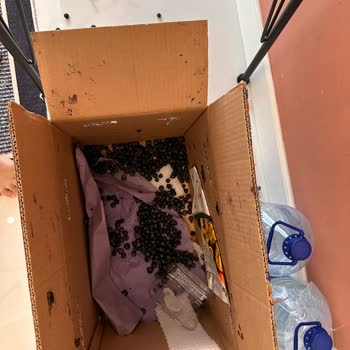 Yurtiçi Kargo İle Gönderilen Kargonun Hasar Görmesi Ve Müşteri Hizmetleri Sorunu