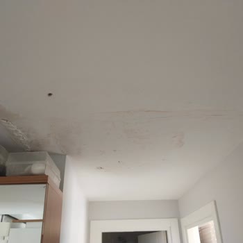 Zurich Sigorta Zürih Sigortanın Sorumsuzluğu